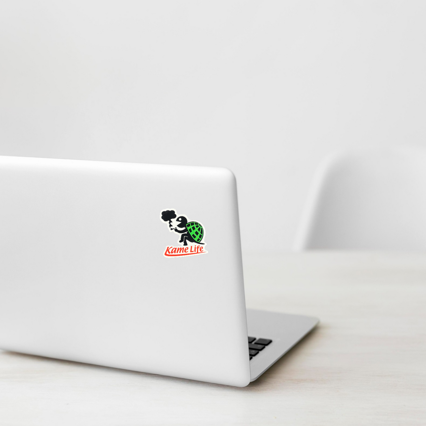 Chill Turtle Living Life  ✦ B-Side Label Sticker