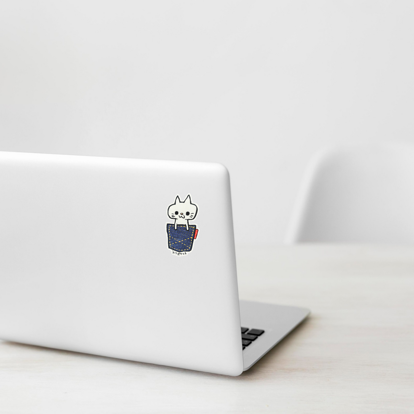 Cat in Pocket ✦ B-Side Label Sticker