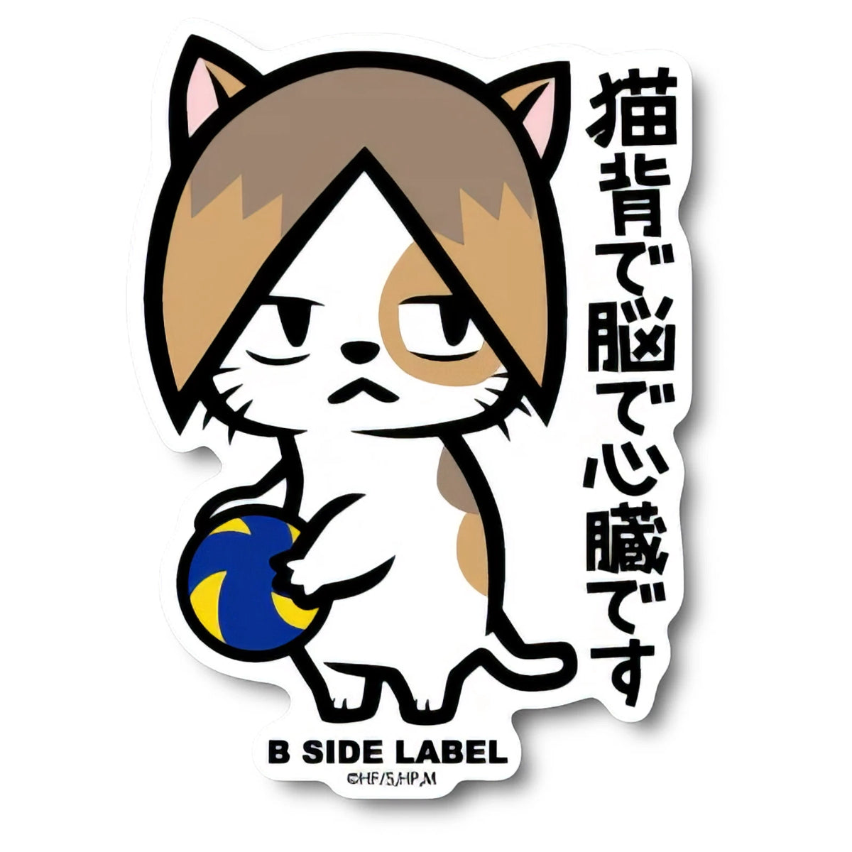 Haikyu Volleyball Cat ✦ B-Side Label Sticker — visually verified main photo; original eBay item 135674599949