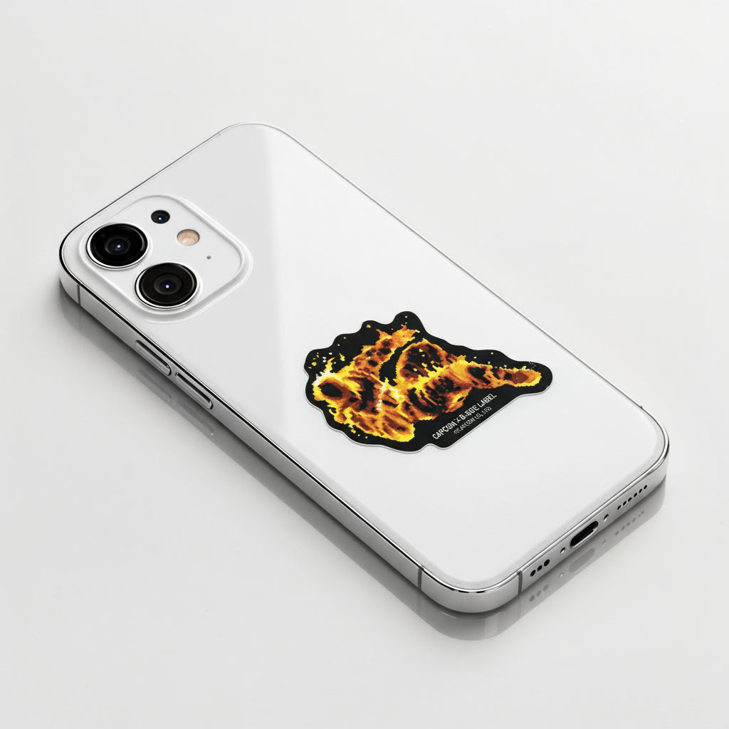 Street Fighter “Yoga Fire” Burned Opponent ✦ B-Side Label Sticker