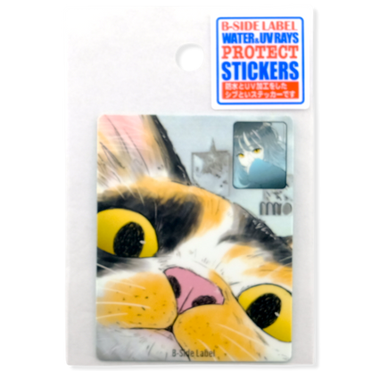Katzen- & Mädchen-FaceTime ✦ B-Side Label Aufkleber