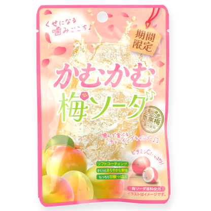 Mitsubishi Foods ✦ Caramelos Kamu Kamu ✦ Ciruela