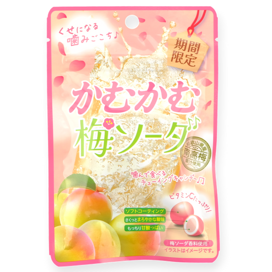 Mitsubishi Foods Kamu Kamu Chews ✦ Plum ✦ Japanese Candy