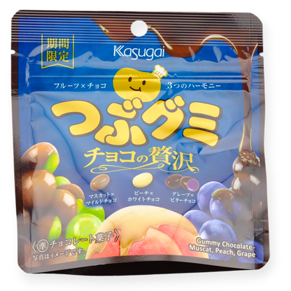 Kasugai Tsubu Luxury Chocolate Gummy ✦ Fruit Mix ✦ Japanese Candy