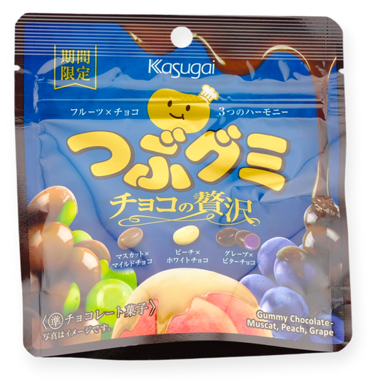 Kasugai Tsubu Luxury Chocolate Gummy ✦ Fruit Mix ✦ Japanese Candy