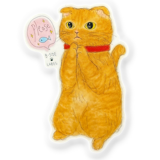 Begging Cat ✦ B-Side Label Sticker