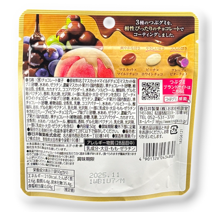 Kasugai ✦ Gomitas cubiertas de chocolate Tsubu ✦ Mezcla de frutas