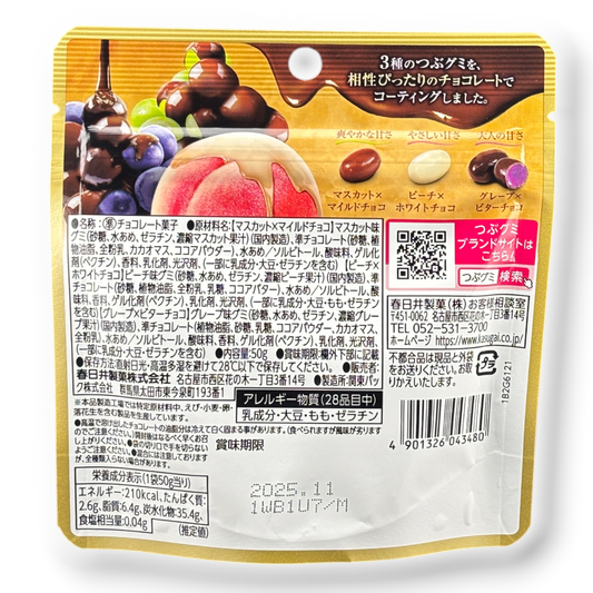 Kasugai ✦ Tsubu Chocolate-Covered Gummy ✦ Fruit Mix