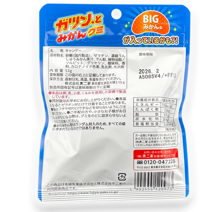 Fujiya ✦ Gatsun Ice Gummy ✦ Mandarine