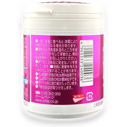 Lotte ✦ XYLITOL Kaugummi ✦ Traube