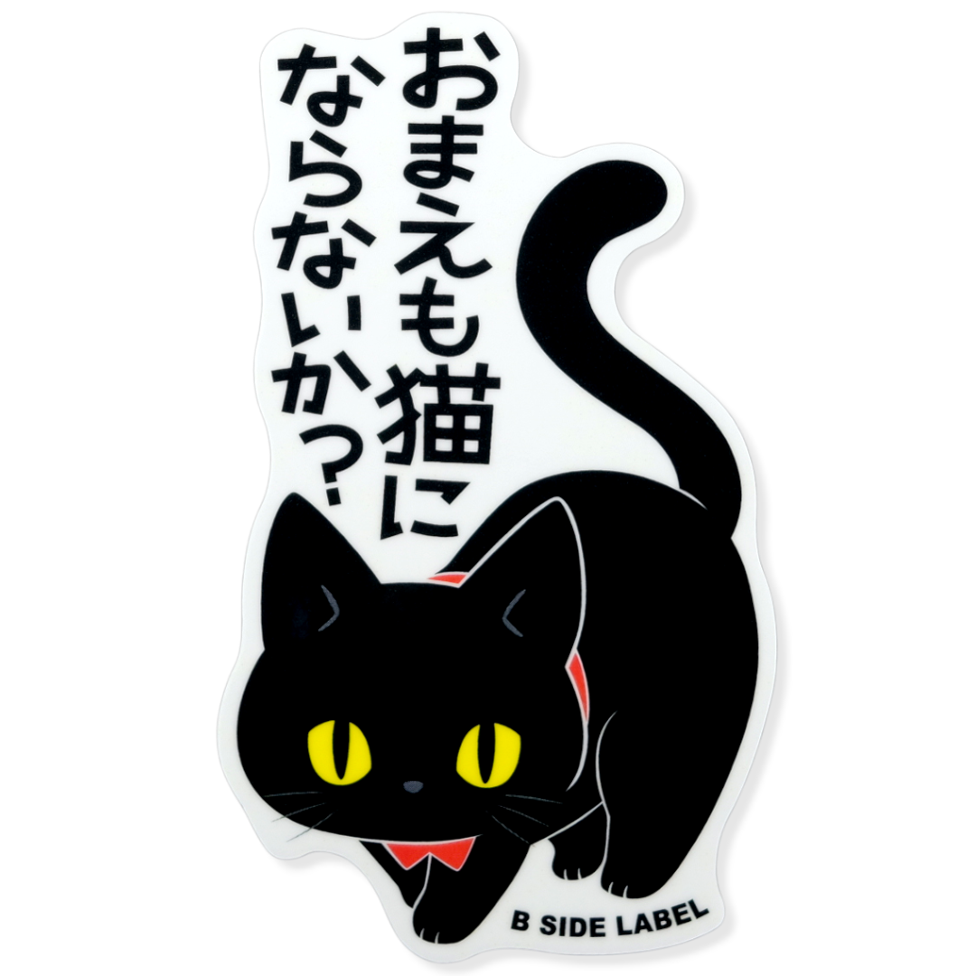 Curious Black Cat ✦ B-Side Label Sticker