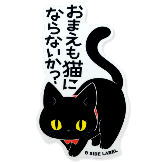 Neugierige schwarze Katze ✦ B-Side Label Aufkleber