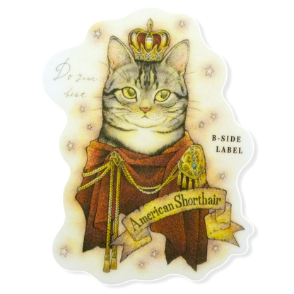 Königlich Amerikanische Kurzhaar-Katze ✦ B-Seite-Aufkleber