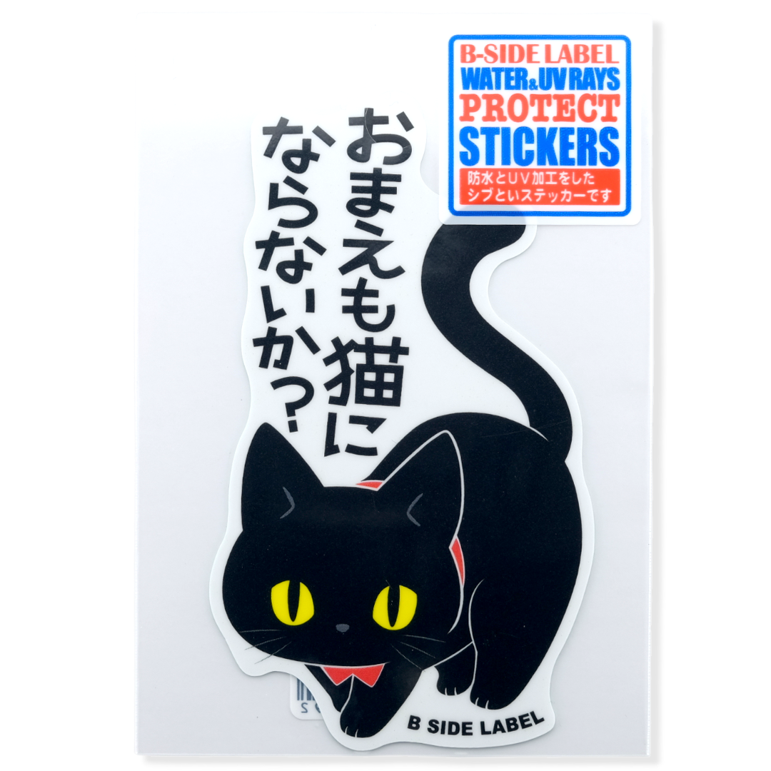 Curious Black Cat ✦ B-Side Label Sticker