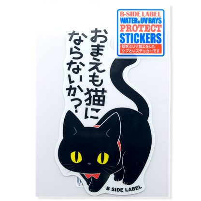 Curious Black Cat ✦ B-Side Label Sticker