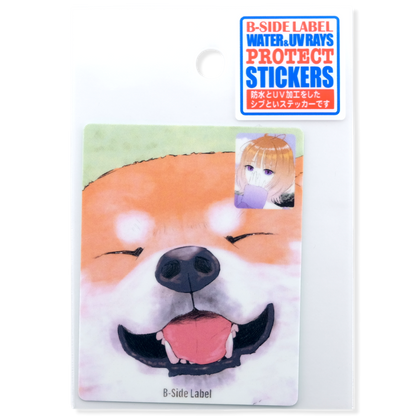 Shiba Inu & Mädchen Face-Time ✦ B-Side Label Aufkleber