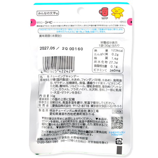 Mitsubishi Foods Kamu Kamu Chews ✦ Salty Lychee ✦ Japanese Candy