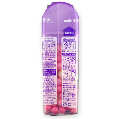 Lotte Fuuzen Gum ✦ Blueberry Yogurt ✦ Japanese Candy
