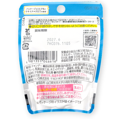 Kanro Hard Candy ✦ Premium Salt & Milk ✦ Japanese Candy
